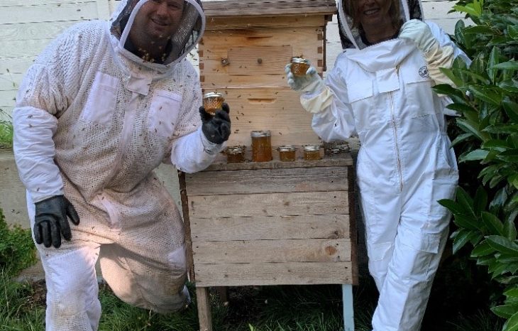 The Art of Ethical Beekeeping: How Bee Safe Bee Removal Protects Both Bees and Communities